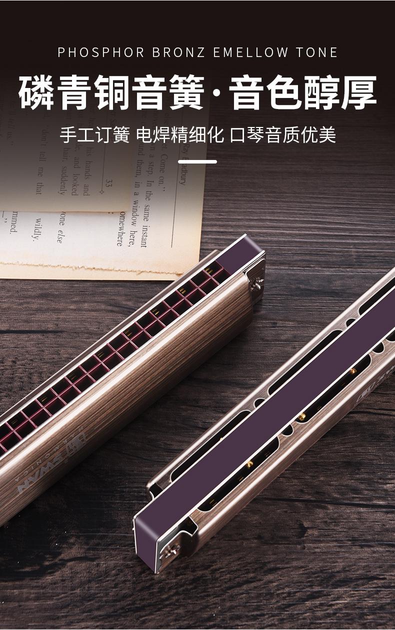 德国进口高端口琴德国原装进口音簧28孔复音口琴高端成人演奏级初学者