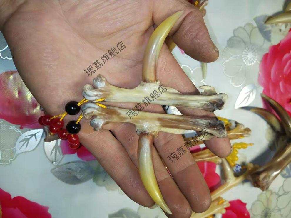 2022新款冷门把件鸡爪骨手把件盘玩鸡拐子冷门文玩男士随身把玩抓钱手