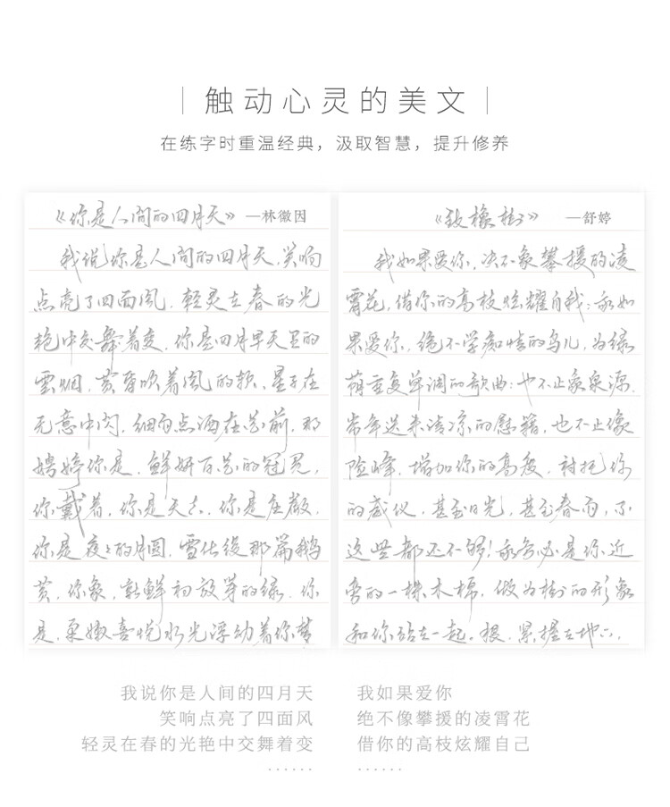 学生手写体书法字帖 练字帖大学生练字书法神器草书行书赠送笔可重复