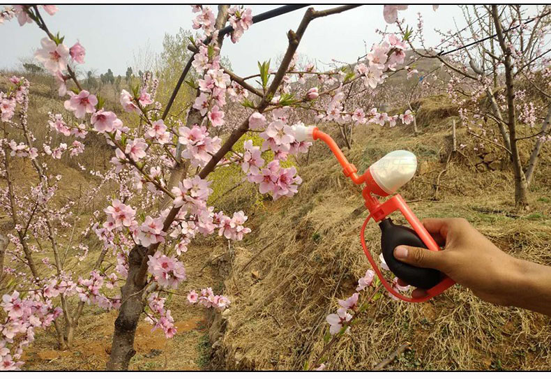 手动授粉器喷粉枪梨苹果授粉机点花器猕猴桃授粉神器花粉授粉工具亿程