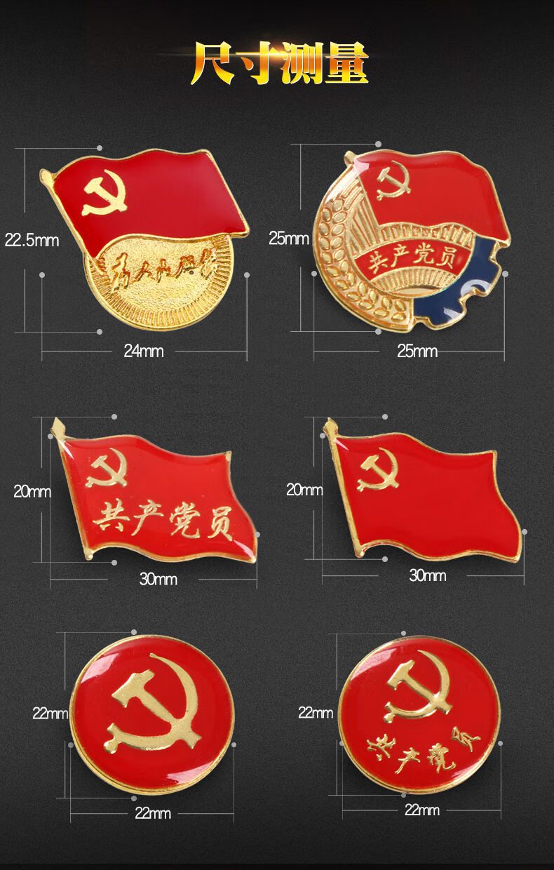 象蚁 标准型党徽中国共青团团徽胸章胸针别针为人民服务党徽党员徽章