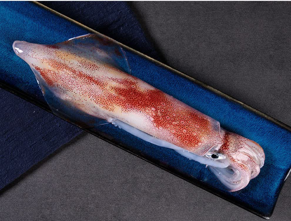 福茹洲 东山岛海手钓大管火箭枪乌贼鱿鱼刺身海捕新鲜活冷冻海兔子