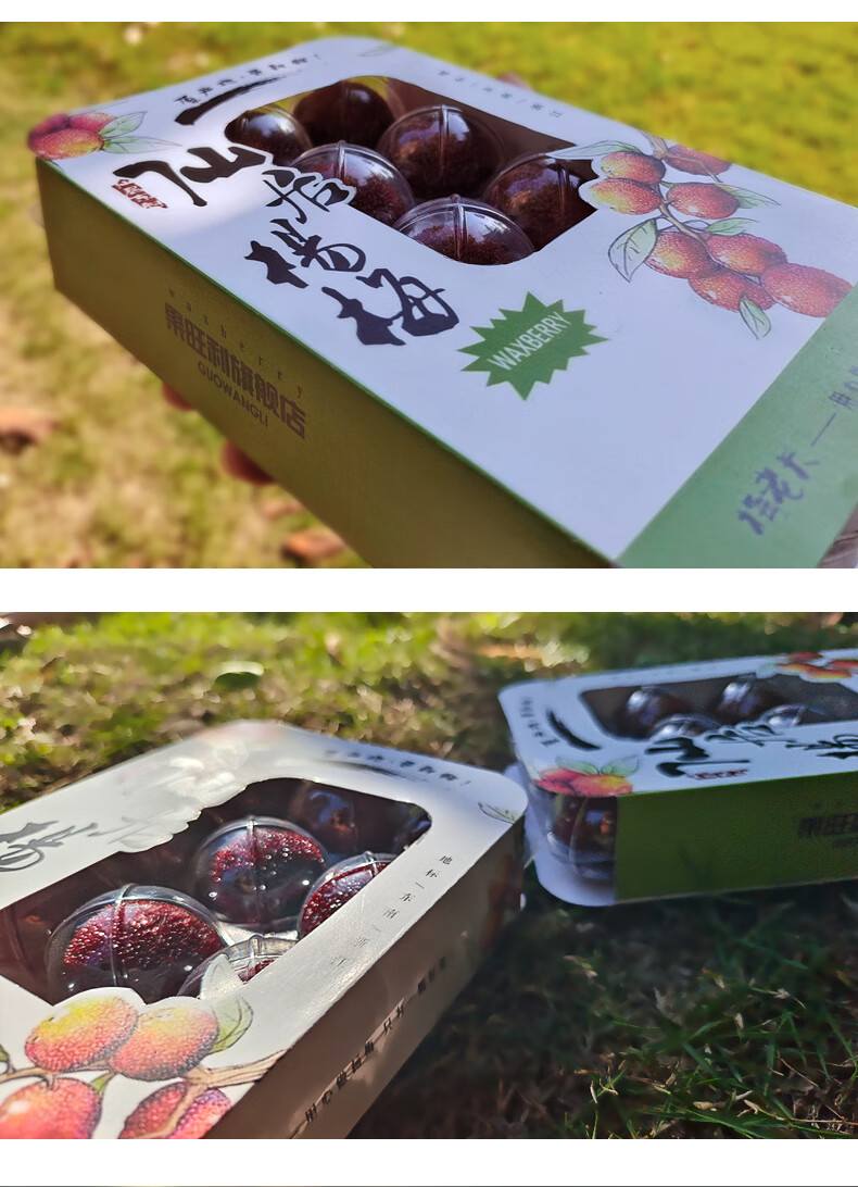 正宗仙居东魁杨梅 浙江特产杨梅特级大杨梅8a当季新鲜水果贡品礼盒装