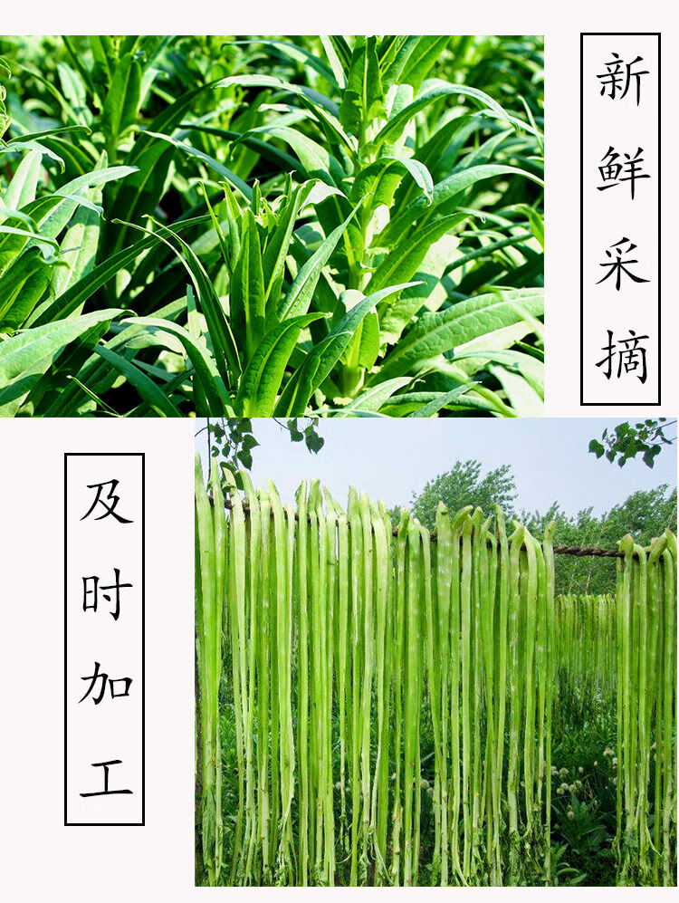 【年货特产】鲜贡菜258g无叶水贡菜新鲜苔干菜特产涮火锅冒菜盐水渍菜