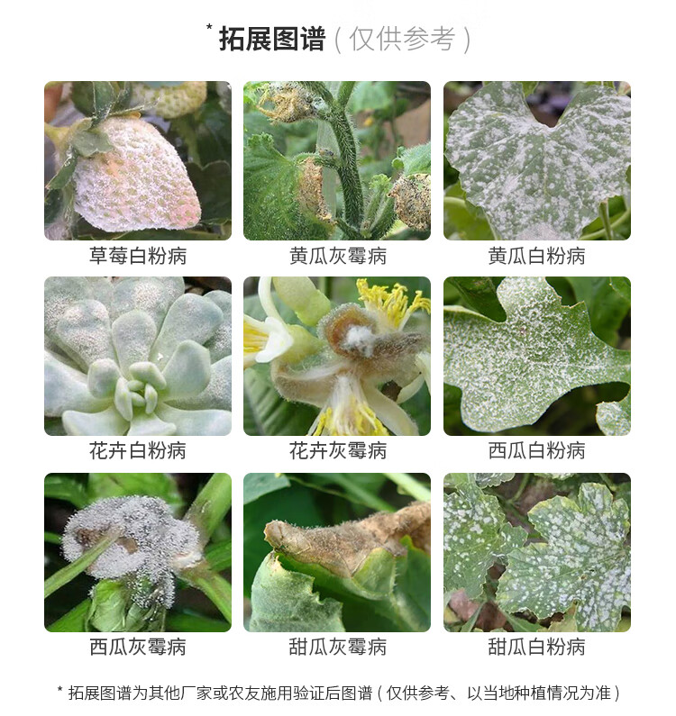 啶酰嘧菌酯灰霉病霜霉白粉病专用药草莓花卉瓜果树蔬菜农药杀菌剂 10g