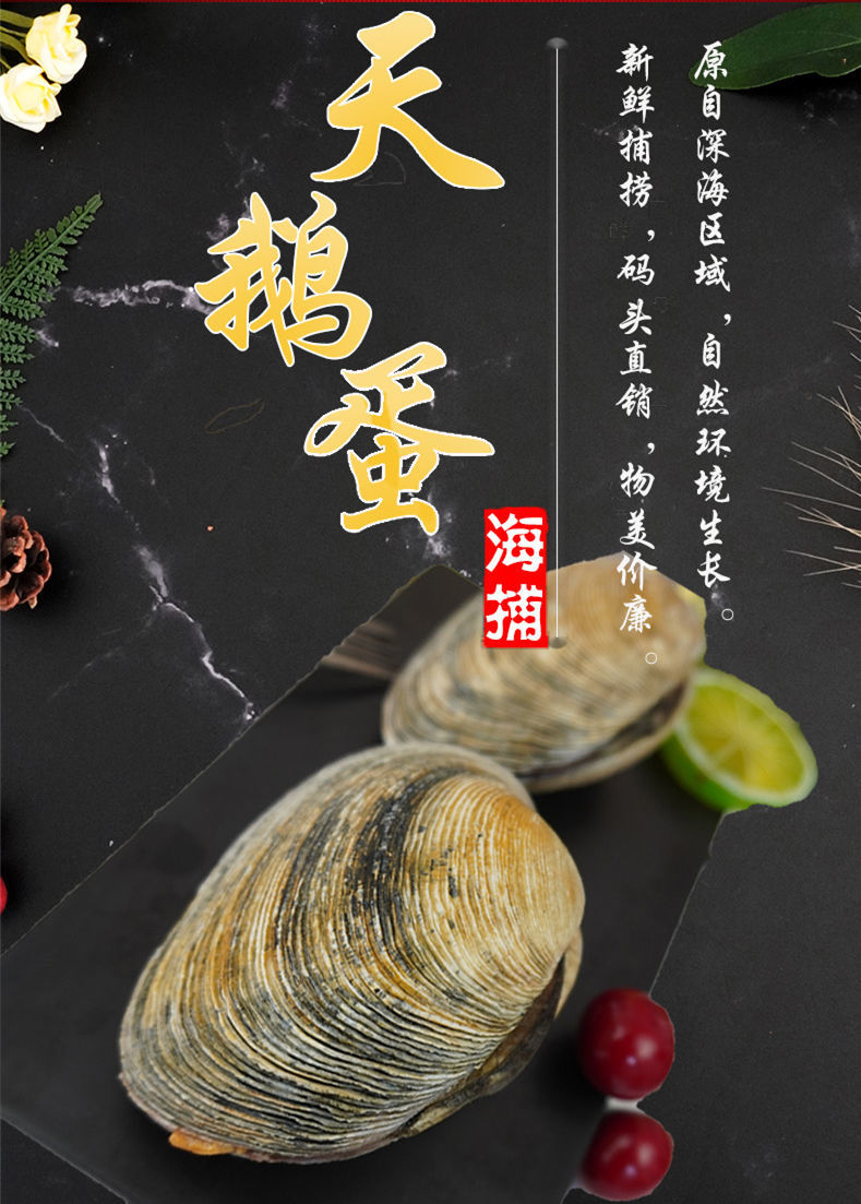 天鹅蛋贝50个粉丝天鹅蛋去内脏去沙大蛤蜊贝类新鲜烧烤冻品去壳去内脏