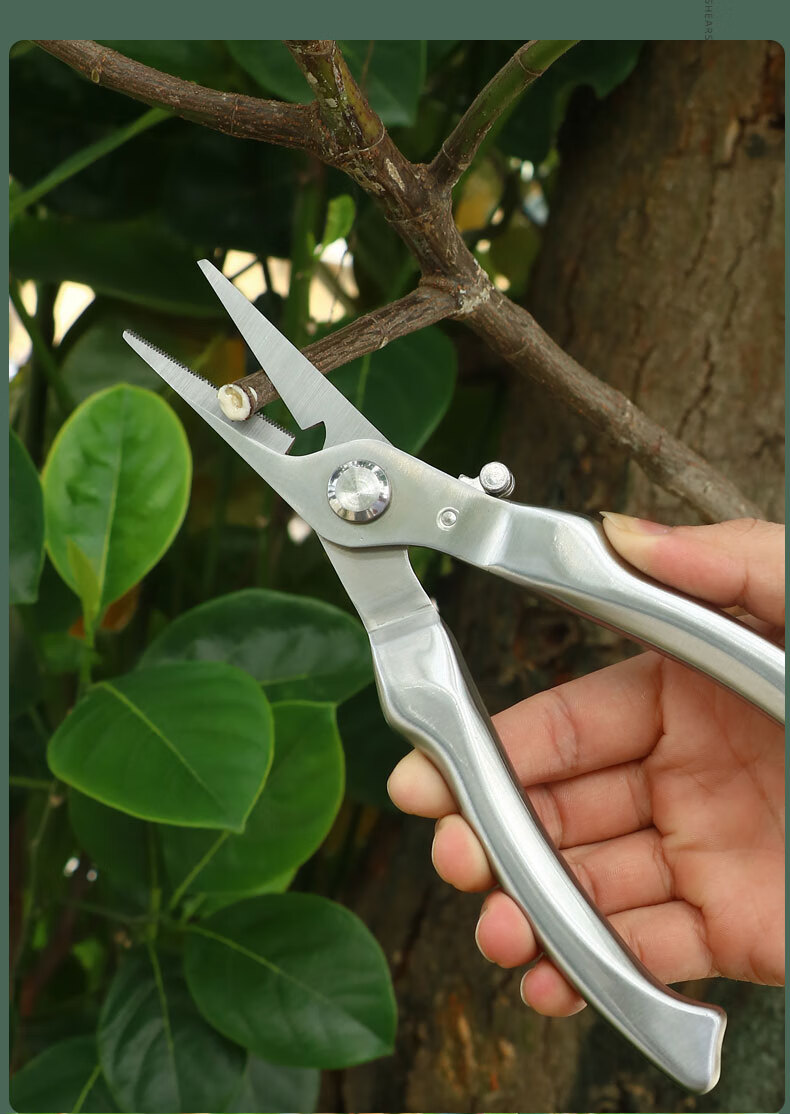 花剪剪枝剪刀修枝剪园林园艺省力修剪树枝果树嫁接摘果用剪子鸿致v601