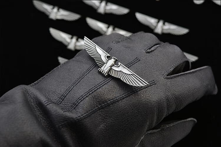 德国权力之鹰鹰徽铁十字胸针雄鹰徽章胸章胸针十字版权力之鹰