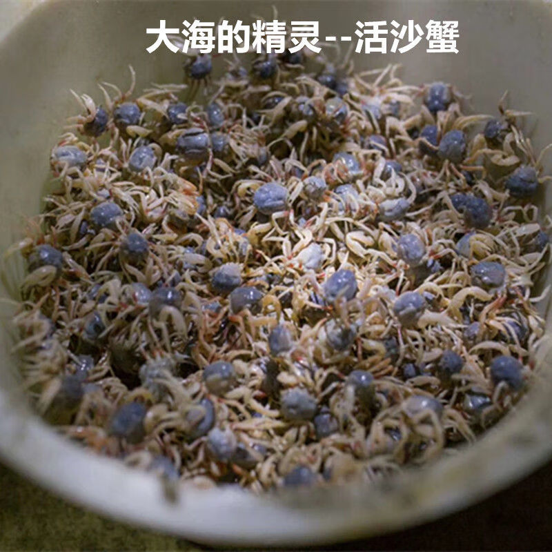 北海特产沙蟹汁舌尖2拍摄品牌周君梦沙蟹汁沙蟹酱240克一瓶.