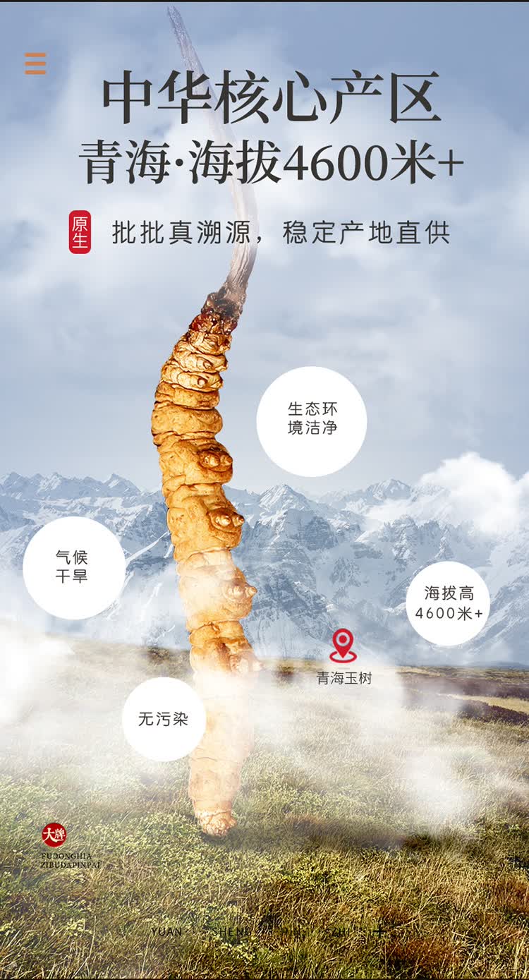 福东海精选冬虫夏草5条g青海玉树高海拔雪山冻干高洁净虫草饱满无断草