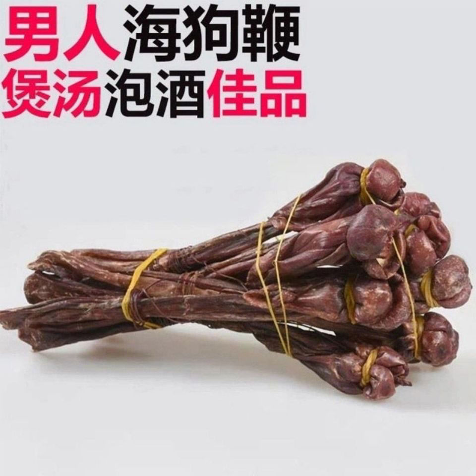 中药材海鞭肾干货带睾丸男性养生大补入药海狗鞭煲汤泡酒料 30克上3条