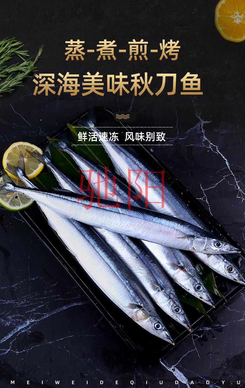 秋刀鱼鲜冷冻12条装新鲜鱼海鲜水产深海鱼日式烧烤食材