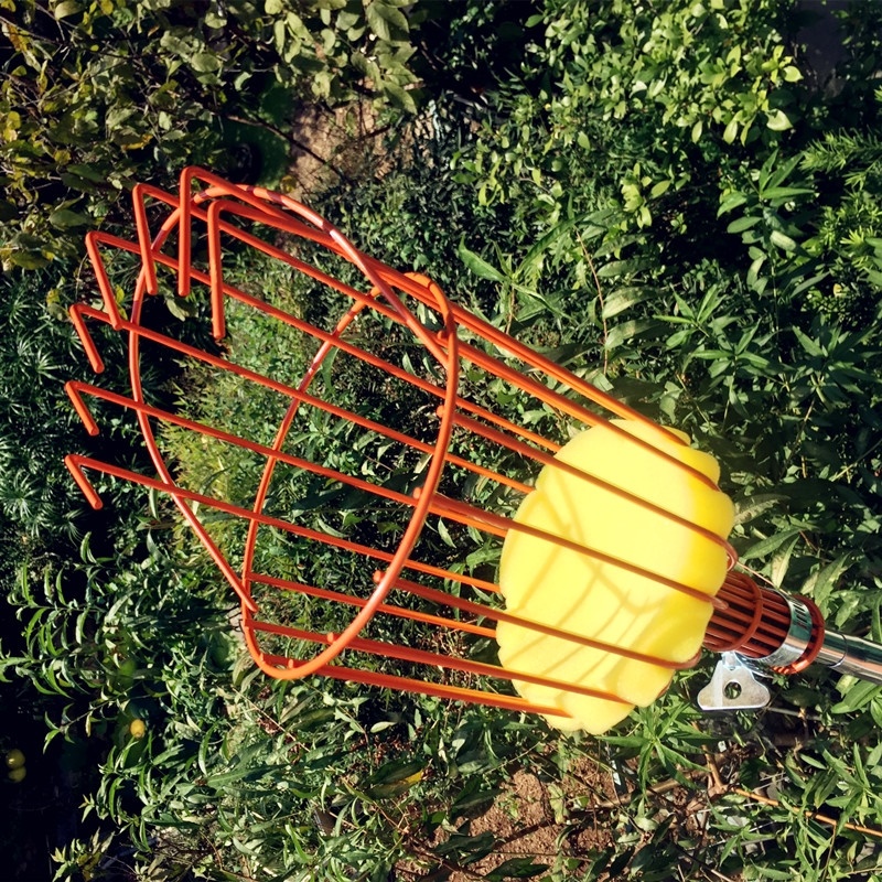荔枝龙眼摘水果高空摘果器摘桃工具摘果器伸缩杆 s34-6米伸缩杆 普通