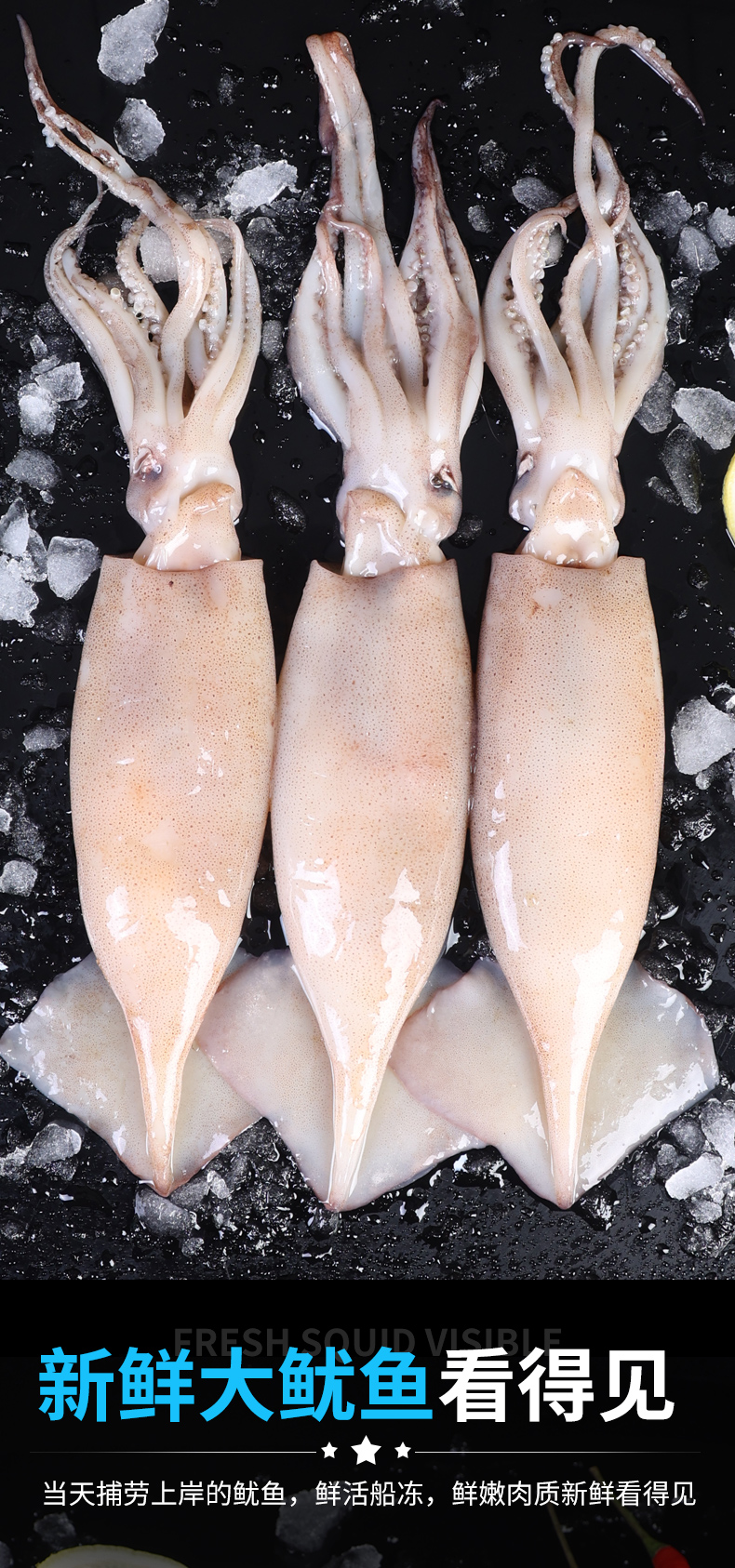 大鱿鱼生鲜整只冷冻新鲜鱿鱼须铁板烧烤商用批发海鲜鲜活水产整只大