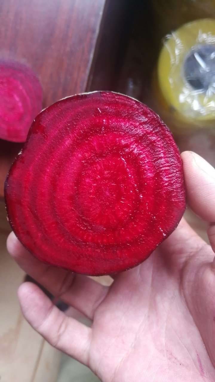 甜菜根新鲜现挖5斤甜菜头红甜菜农产品蔬菜红菜头萝卜2斤中果6个左右