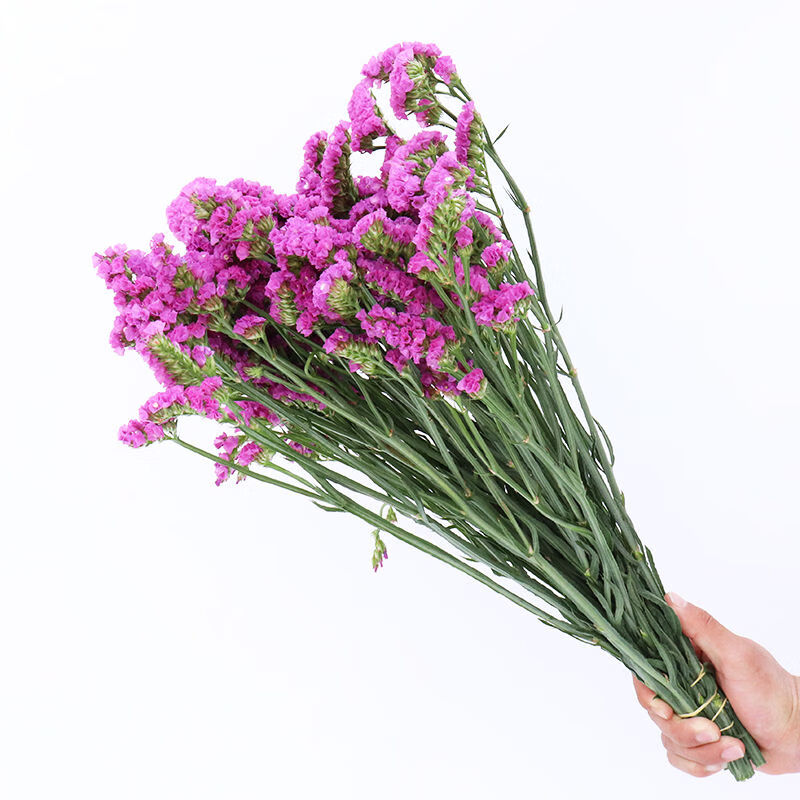 干花勿忘我情人草水晶草组合满天星花束客厅真花插花家居摆设礼品 黄