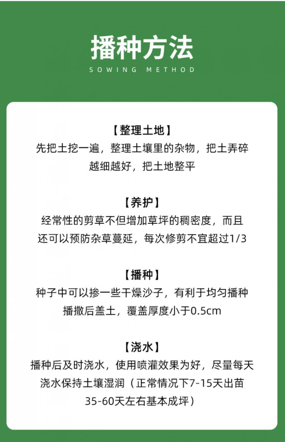 护坡草坪种子种籽草皮草籽草种黑麦草地毯草四季常青耐旱绿化子青混播