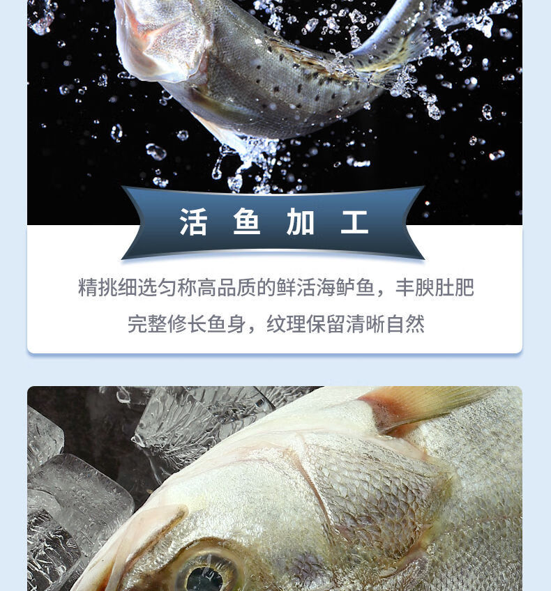 去开背珠海白蕉鲈鱼鲜活冷冻海捕鱼类海鲜烧烤鱼福茹洲200300g条2条装