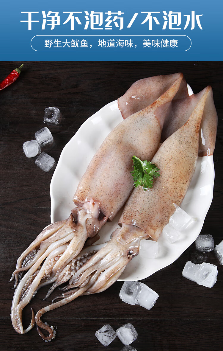 鱿鱼新鲜鲜活深海无漂白整只鲜冻冰冻冷冻水产饭铁板商用2500g5斤实实