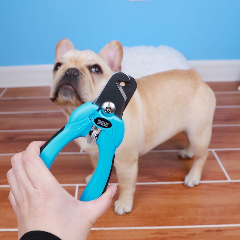 狗狗指甲剪宠物指甲钳中大型犬大狗剪指甲刀阿拉斯加金毛拉布拉多木二