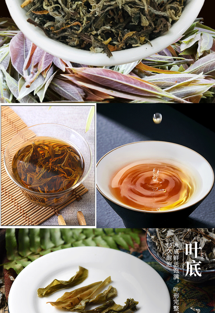 重庆特产特级巫溪叶老荫茶红白茶嫩叶500g老阴茶老树茶500g