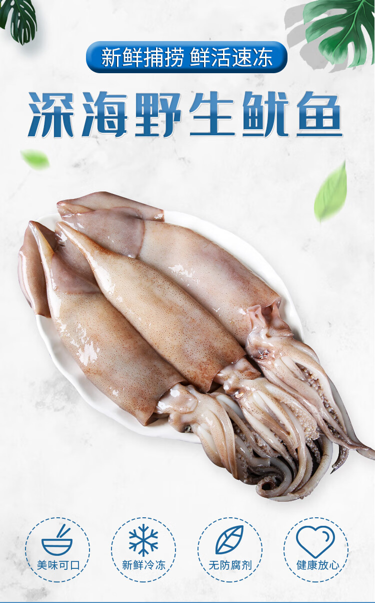 鱿鱼新鲜鲜活深海无漂白整只鲜冻冰冻冷冻水产饭铁板商用2500g5斤实实