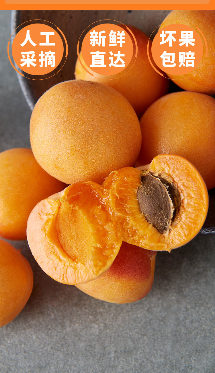 阿克苏小红杏 新鲜水果 吊干杏 鲜杏 当季新疆吊干杏子 桃李杏 产地