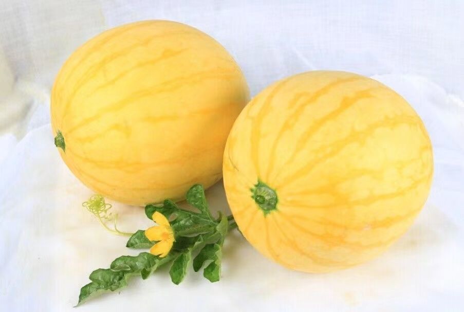 金皇后西瓜种子黄皮甜王早熟西瓜种籽南方水果春季四季蔬菜种籽孑 -量