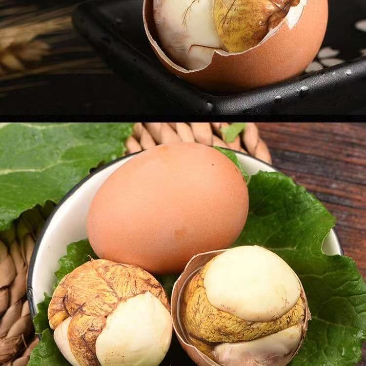 【破壳活珠子】活珠子土鸡蛋新鲜活珠子13天鸡胚蛋毛蛋喜蛋钢化蛋
