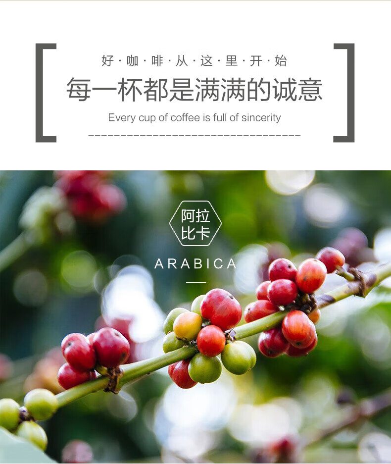 景兰 云南小粒咖啡100克猫屎咖啡豆 中度烘焙 布袋装 猫屎咖啡1袋