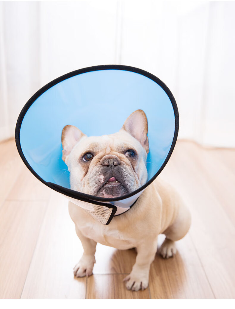 伊丽莎白圈保护头套猫狗防舔咬皮肤病狗狗头罩耻辱圈大型犬宠物 天空