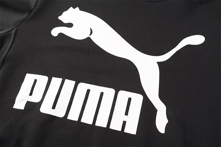 彪马(puma)秋冬新款连帽卫衣男女纯棉中青年宽松套头衫情侣上衣外穿潮