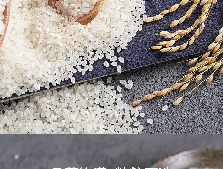 5折东北大米吉宏6六号5kg袋多规格吉林延吉新米珍珠胚芽米农科院吉宏6