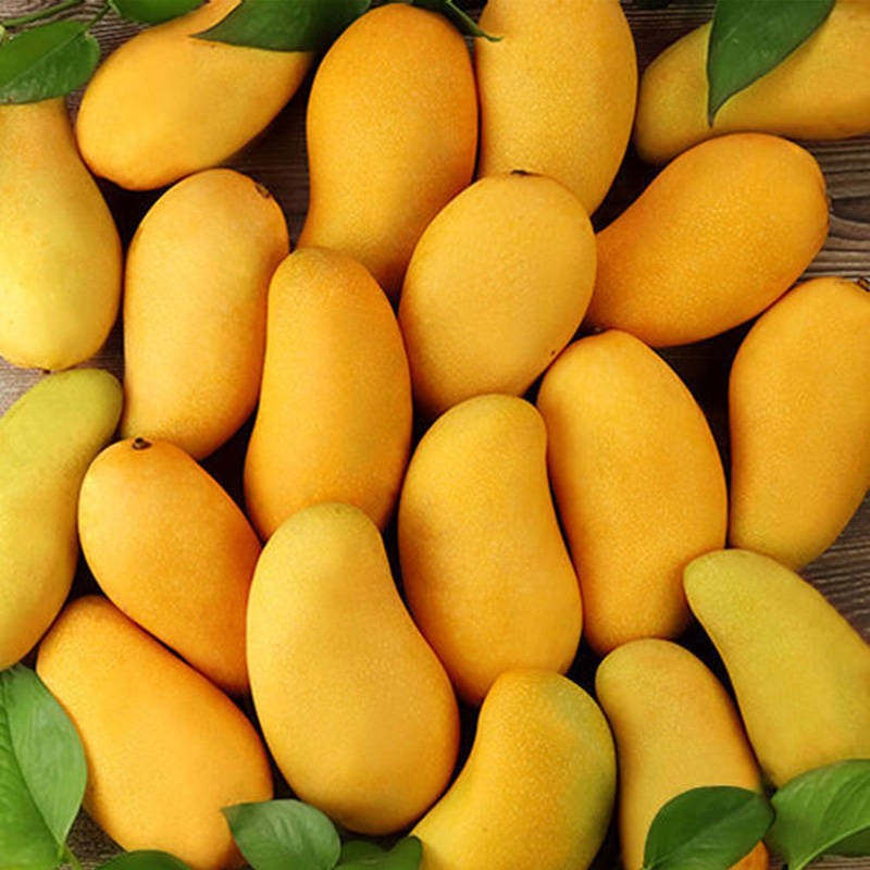 【拼购】海南蜜芒果