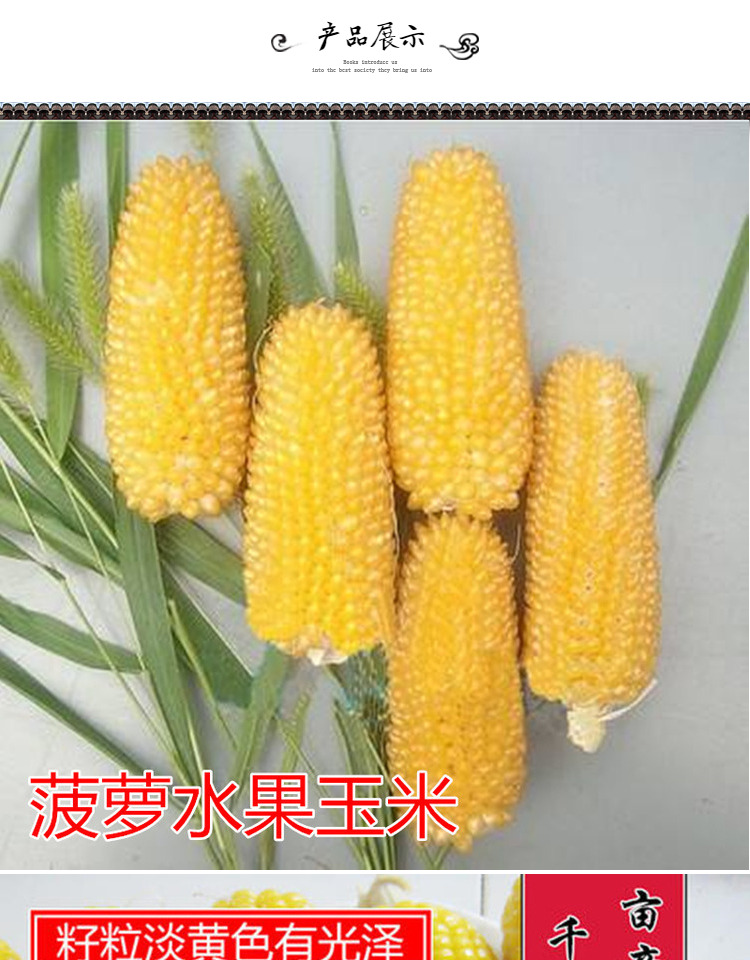 菠萝玉米种子 草莓水果玉米种子水果玉米粘糯玉米四季种植 菠萝玉米10