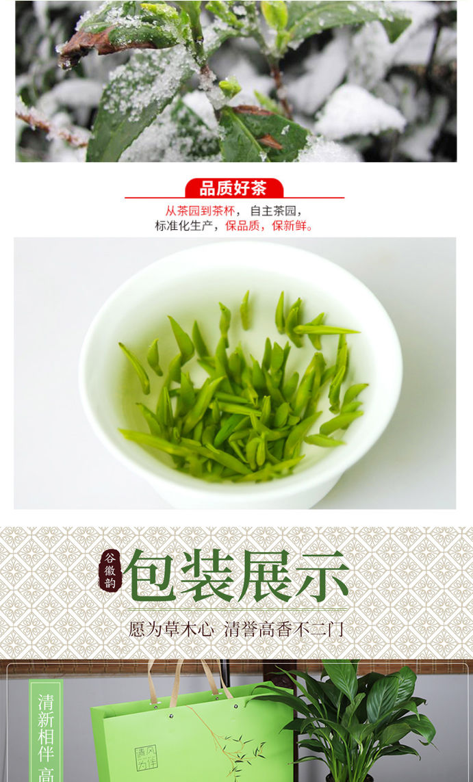 北京同仁堂原料雀舌茶叶2022新茶雀舌绿茶正宗毛尖茶叶嫩芽明前赠礼