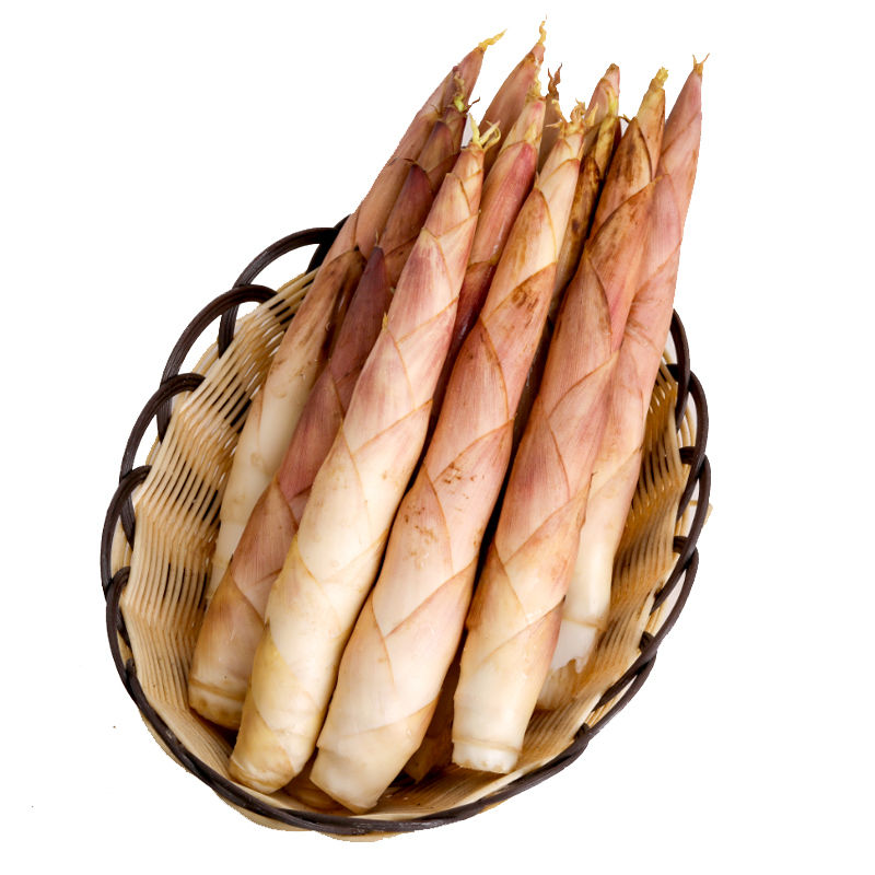 【拼购】新鲜现挖天目山特产嫩竹笋 9斤