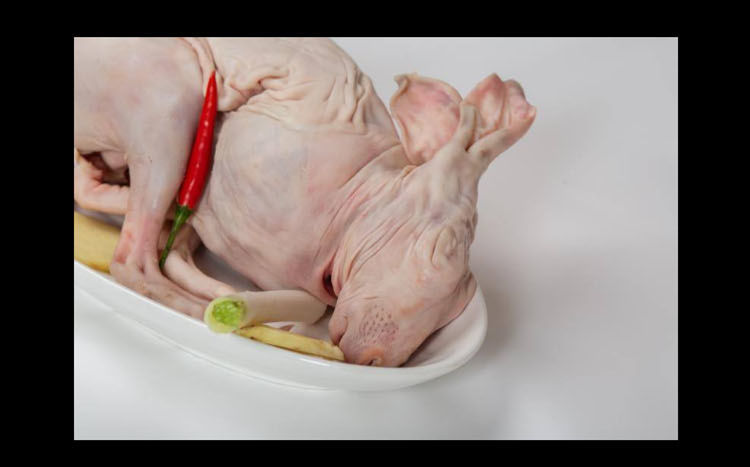 新鲜带皮兔肉手工烫皮兔整只带头生兔肉冷冻包装4斤以上大兔子肉552斤