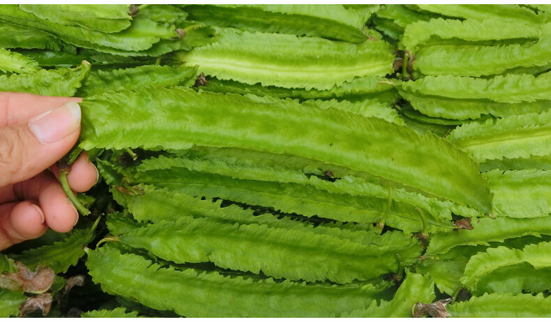 味蕾乐 海南三亚四角豆 龙豆角四棱豆四季豆 新鲜蔬菜 3斤装 f 3斤装