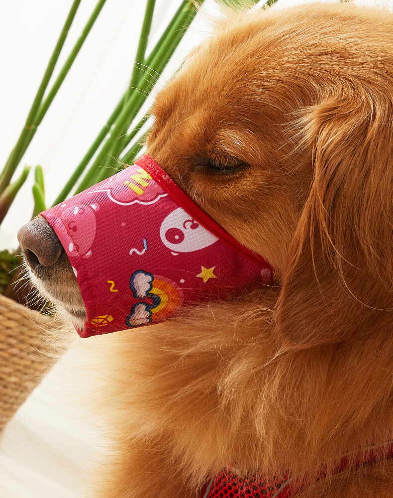 矢向 狗狗嘴套防咬狗口罩泰迪防乱叫嘴套大型犬金毛防乱吃嘴罩宠物