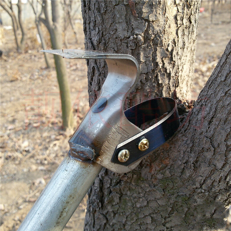 皮刀/刮树挠/树木刮树皮专用刀/原装/园艺工具环枝剪 sl-11两用树皮刀