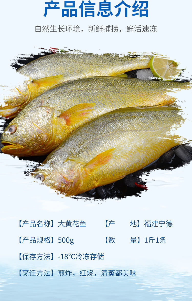 新鲜大黄鱼速冻黄花鱼深海现捕现发海鲜水产惟纳德15斤1条大货试吃装