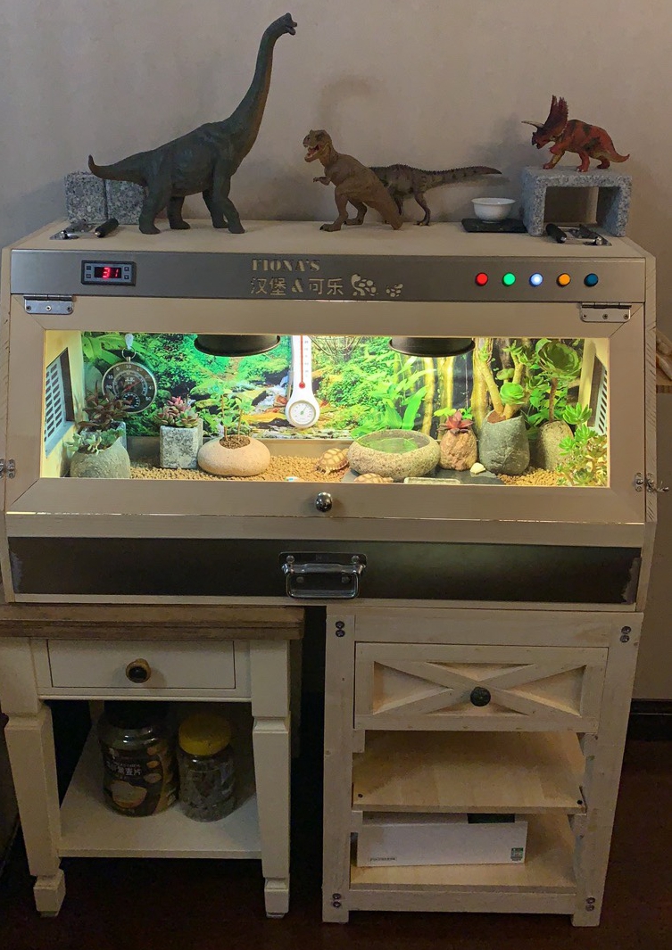 实木爬虫箱蜥蜴鬃狮蜥养殖箱雨林缸斜面饲养箱生态缸保温木箱nomo夜灯