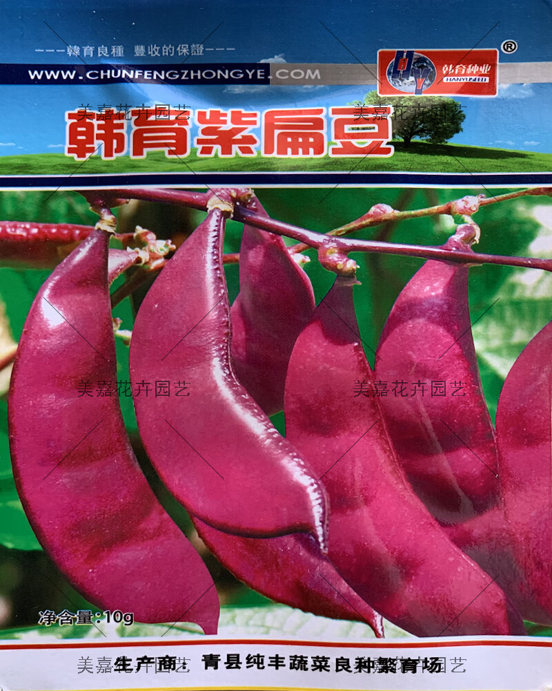 红扁豆种子紫红色眉豆高产早熟种籽四季播种冬季春秋芸豆四季豆翠绿