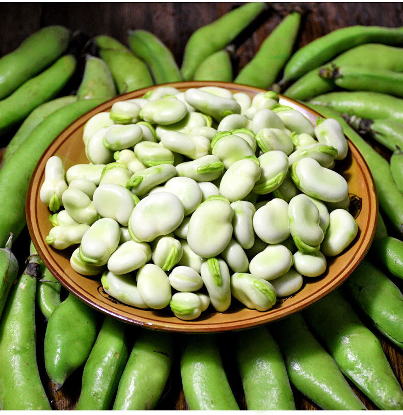 2022年新鲜蚕豆带壳大青蚕豆嫩胡豆四川本地当季现摘蔬菜豆荚云南5斤