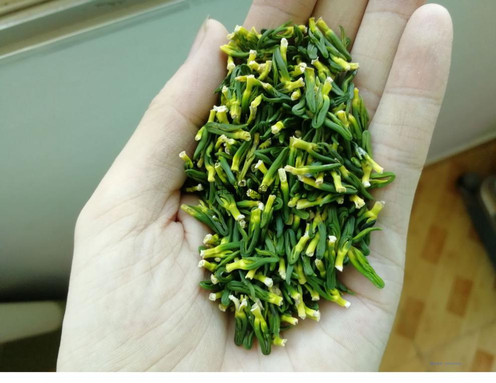 农家无杂质天然莲子心茶新鲜莲心泡茶清心500g克 图片色【图片 价格