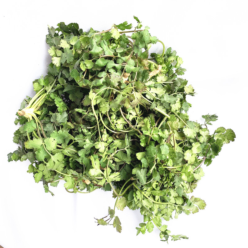 源外园香菜新鲜蔬菜芫荽农家矮脚土香菜霜冻香菜红根香菜团建礼生鲜