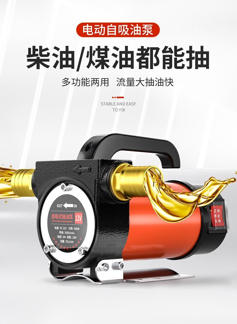 吸油机电动抽油泵柴油自吸泵定制 【600w】大功率12v单【图片 价格