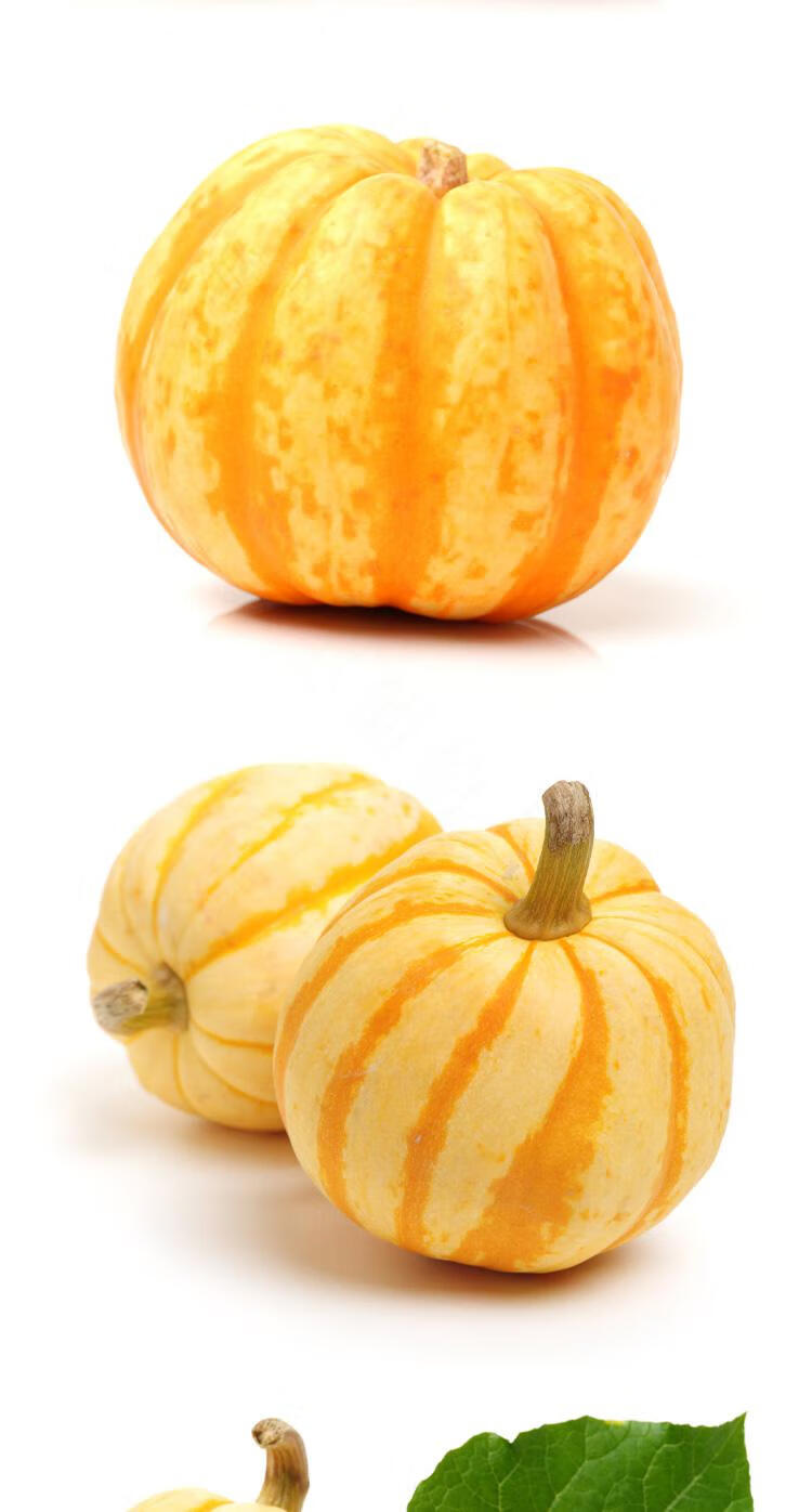 源外园 新鲜太阳瓜食用黄金贝贝南瓜金桔南瓜贝贝果迷你小南瓜雕刻 2