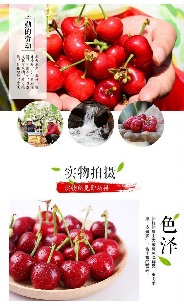 顺丰空运隔日达山东国产车厘子新鲜孕妇水果园现摘现发整箱1500gxl